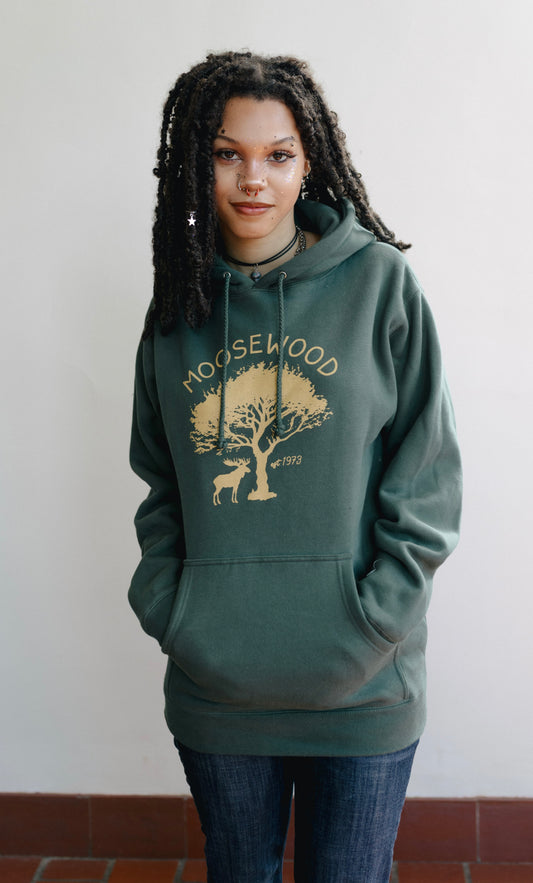Hoodies 2025